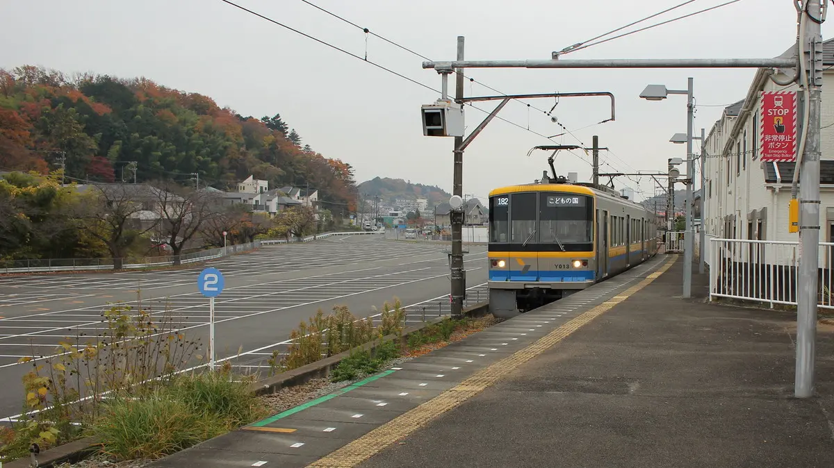 Autumn leaves and Tokyu Kodomonokuni Line Y000 series train at Kodomonokuni Station