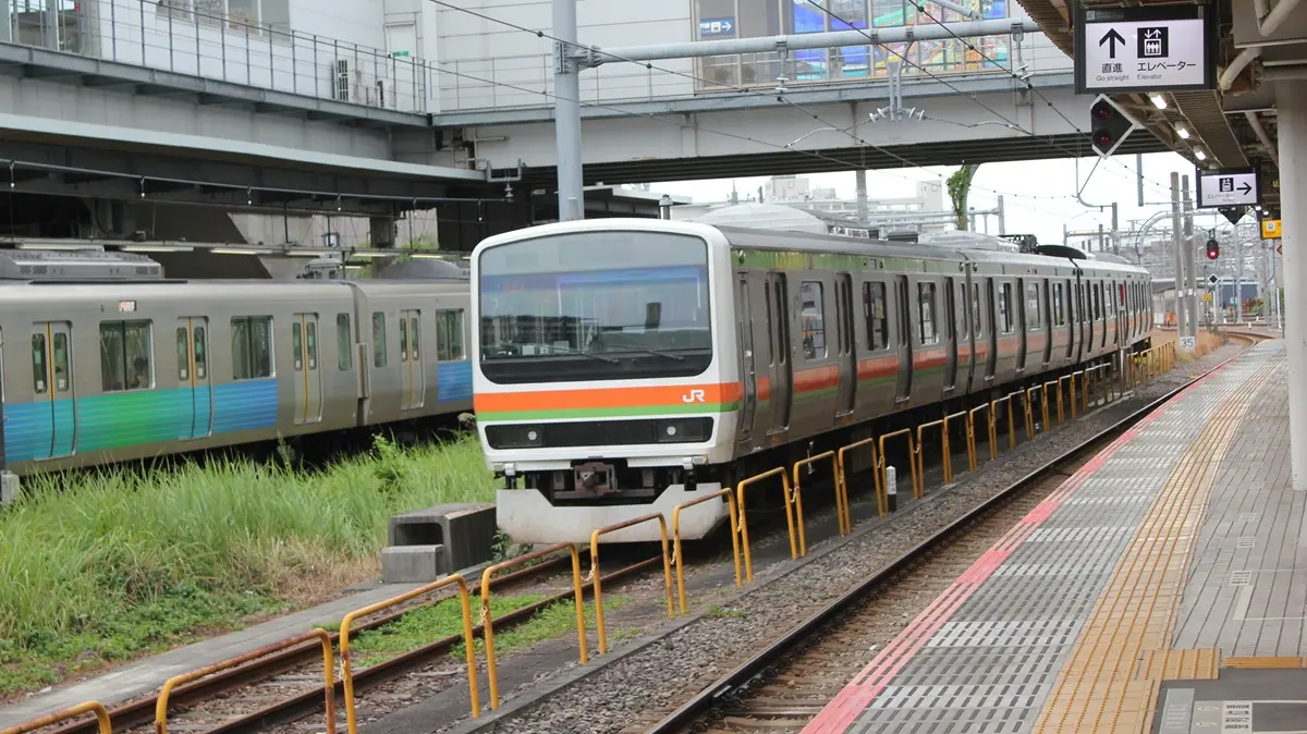 Hachiko Line 209 series 3500 train parked at Haijima Station