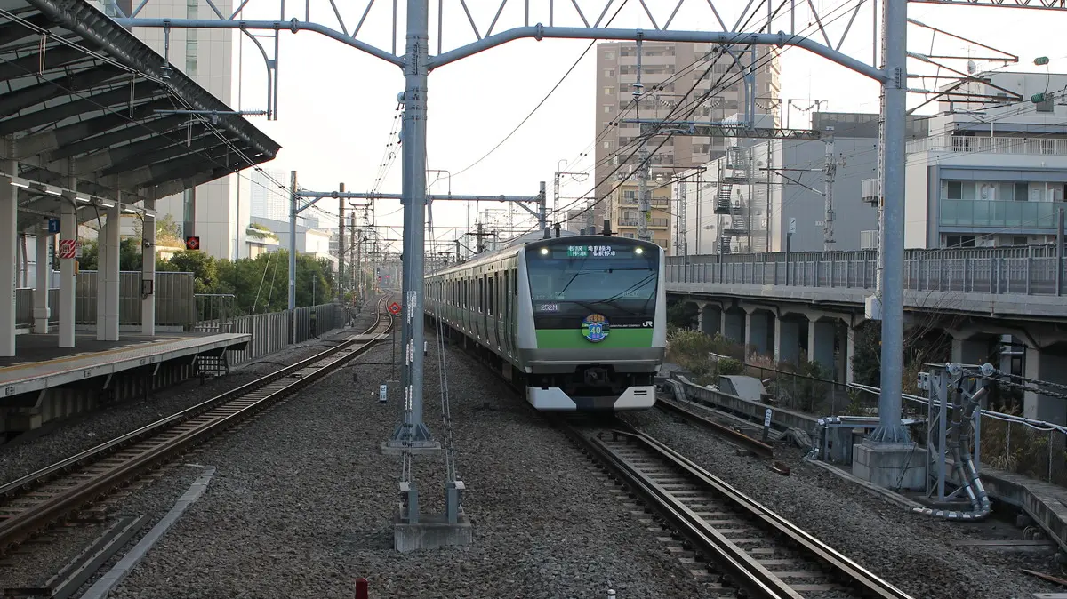 Sotetsu-JR Direct Line E233 series train arriving at Musashi-Kosugi Station